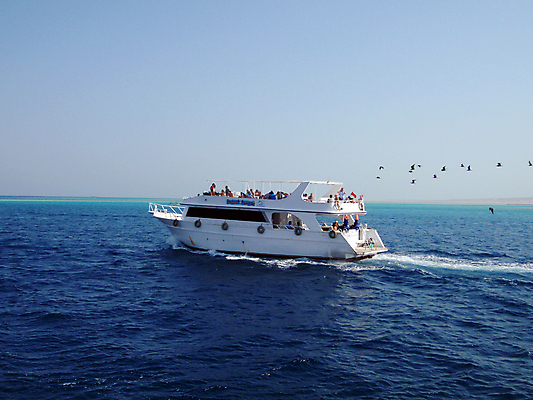 포토 JPG 해외이미지 바다 자연 휴식 이집트 사람없음 빨간색 물 산책 장면 해외포토 자연요소 컬러 컨셉 아프리카 생태계 파일형식 이미지허브