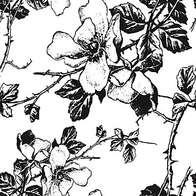 EPS 해외이미지 디자인 꽃 백그라운드 잎 꽃무늬 패턴 일러스트 벽지 추상 흑백 내부 그래픽 장식 장미 수확 나뭇가지 직물 화려 우아함 인쇄 실크 타일 향수 그림 질감 복고 옛날 스타일 반복 해외일러스트 나무 식물 컨셉 무늬 농업 촬영기법 화장품 파일형식 벡터 이미지허브