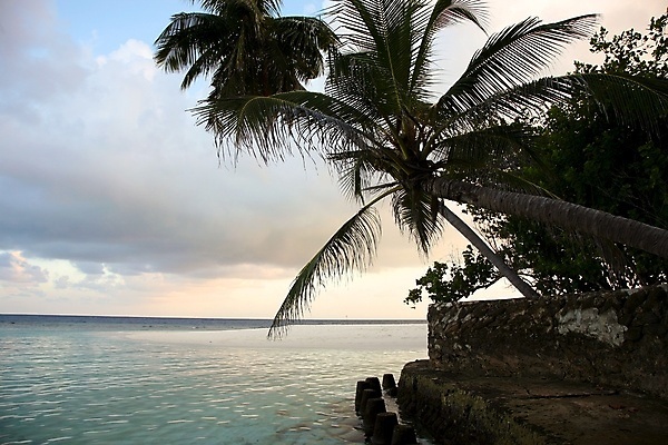 포토 JPG 해외이미지 바다 섬 휴가 휴식 사람없음 물 여름 태양 일몰 시간 고급 인도인 코코넛 몰디브 해외포토 자연요소 외국인 계절 아시아 컨셉 과일 동양인 노을 파일형식 이미지허브