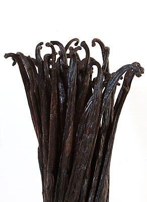 포토 JPG 해외이미지 음식 백그라운드 농업 자연 디저트 콩 요리 사람없음 갈색 검은색 어둠 흰색 양념 맛 유기농 아로마 아로마테라피 내추럴 고립 꼬투리 마다가스카르 바닐라 버번 맛있는 해외포토 웰빙 산업 컬러 컨셉 곡류 생태계 테라피 파일형식 이미지허브