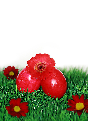 포토 JPG 해외이미지 전통 디자인 계절 꽃 행복 기독교 종교 음식 백그라운드 꽃무늬 패턴 자연 휴가 부활절 창조 선물 초원 사람없음 장식 빨간색 초록색 컬러풀 계란 페인트 놀람 봄 흰색 축하 토끼 둥지 4월 수집 심볼 고립 해외포토 식물 기념일 감정 컬러 컨셉 무늬 포유류 표정 반려동물 알 날짜 생태계 파일형식 이미지허브