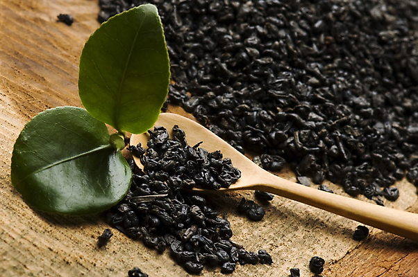 포토 JPG 해외이미지 잎 티타임 근접촬영 사람없음 나무숟가락 찻잎 해외포토 식물 뷰포인트 휴식 차_음료 숟가락 파일형식 이미지허브