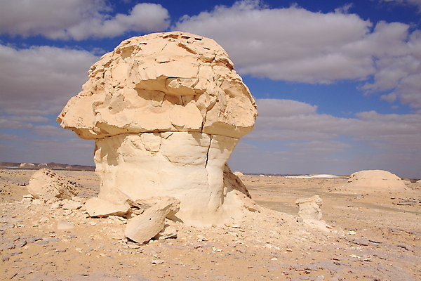 포토 JPG 해외이미지 모래 파도 여행 백그라운드 아프리카 자연 하늘 바람 휴가 건조 요정 이집트 사람없음 야외 파란색 모래사장 햇빛 갈색 노란색 머리 버섯 사막 흰색 뜨거움 황무지 땅 사파리 부식 분필 지역 사하라 내추럴 석회암 지질학 해외포토 자연요소 교육 나라 바다 컬러 날씨 신체부위 태양 암석 초크 생태계 파일형식 이미지허브