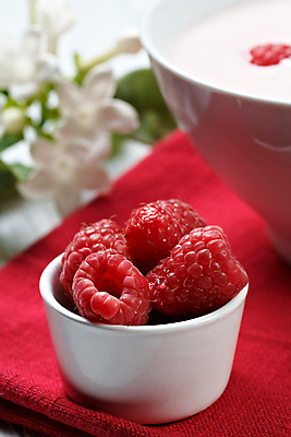 포토 JPG 해외이미지 열매 꽃 음식 다이어트 과일 자연 탁자 딸기 건강 사람없음 컵 빨간색 초록색 정원 숟가락 흰색 신선 달콤 아침식사 설탕 크림 냅킨 블루베리 산딸기 요거트 진짜 맛있는 해외포토 식물 식기 컬러 가구 유제품 수저 식사 맛 생태계 파일형식 이미지허브