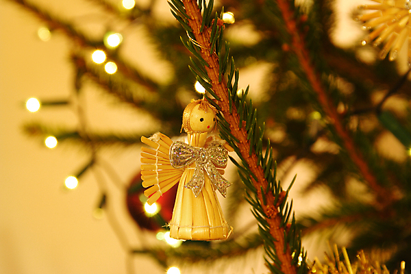 포토 JPG 해외이미지 나무 전통 계절 백그라운드 크리스마스 공 휴가 기념 선물 사람없음 장식 빨간색 상자 검은색 놀람 램프 축하 기다림 황금 야간 활 준비 주기 문학 밀짚 빛망울 고립 해외포토 자연요소 식물 기념일 감정 컬러 컨셉 모션 조명 표정 빛 짚 파일형식 이미지허브