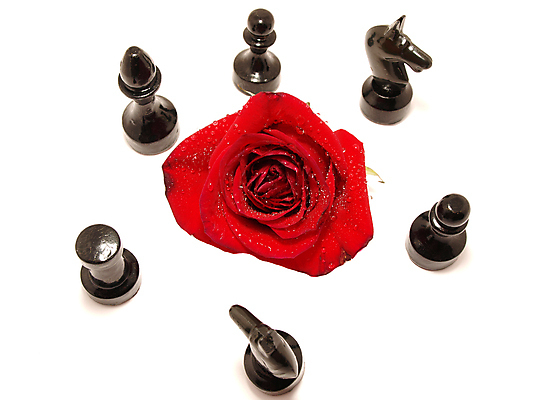 포토 JPG 해외이미지 식물 기념일 꽃잎 꽃 꽃다발 결혼 백그라운드 잎 꽃무늬 패턴 자연 휴가 발렌타인데이 선물 사랑 사람 이벤트 사람없음 빨간색 초록색 물 뷰티 장미 머리 젖음 벚꽃 흰색 축하 인사 신용카드 생일 가시 체스 이슬 오브젝트 싱글 열정 개성 고립 완전 해외포토 자연요소 감정 컬러 컨셉 무늬 데이이벤트 놀이 신체부위 금융 예절 생태계 파일형식 이미지허브