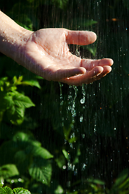 포토 JPG 해외이미지 손 자연 사람없음 물 습기 젖음 빨래 시원함 해외포토 자연요소 가사 신체부위 생태계 파일형식 이미지허브