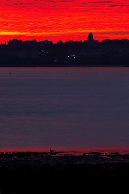 포토 JPG 해외이미지 여행 자연 하늘 표면 사람없음 야외 세계 일출 일몰 새벽 내추럴 해외포토 자연요소 노을 생태계 파일형식 이미지허브