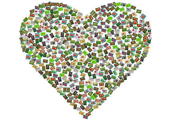 포토 JPG 해외이미지 모양 꽃 자연 사랑 사람없음 벚꽃 하트 양귀비 해외포토 식물 감정 생태계 파일형식 이미지허브