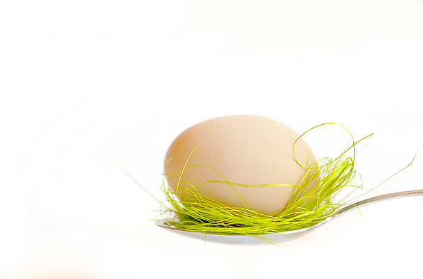 포토 JPG 해외이미지 종교 음식 백그라운드 휴가 부활절 사람없음 초록색 계란 숟가락 봄 흰색 먹기 고립 해외포토 계절 기념일 컬러 모션 수저 알 파일형식 이미지허브