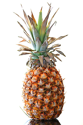 포토 JPG 해외이미지 음식 줄기 백그라운드 다이어트 과일 열대 건강 사람없음 주스 흰색 대접 소나무 달콤 맛 정상 파인애플 향기 고립 해외포토 나무 식물 음료 컬러 컨셉 열대과일 냄새 파일형식 이미지허브