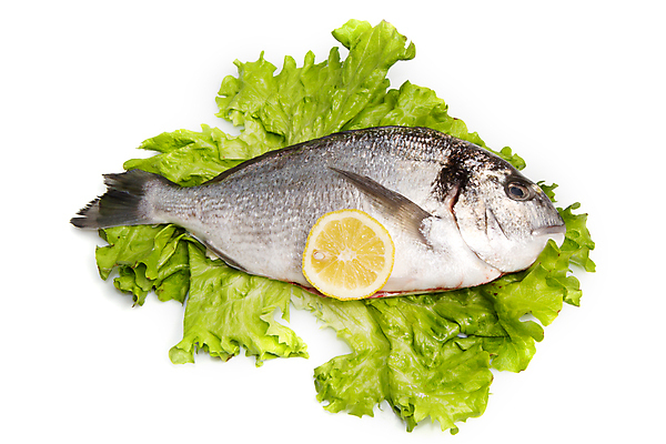 포토 JPG 해외이미지 사람없음 상추 레몬 흰배경 날것 도미 해외포토 백그라운드 채소 과일 어류 흰색 파일형식 이미지허브