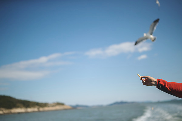 포토 JPG 주간 손 남자 바다 섬 여행 갈매기 한손 한명 서기 사람 성인 야외 아웃포커스 신체부위 30대 과자 한국인 주기 인천 선박 성인남자한명만 옹진군 국내포토 자연요소 1 수상교통 모션 조류 디저트 한국 촬영기법 동양인 장년 남자한명만 성인남자만 파일형식