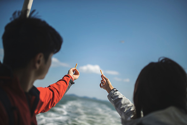 포토 JPG 주간 손 커플 여자 남자 바다 커플라이프 섬 여행 갈매기 서기 들기 사람 상반신 성인 야외 두명 뒷모습 30대 과자 다정 한국인 인천 선박 성인만 옹진군 국내포토 자연요소 라이프스타일 뷰포인트 컨셉 수상교통 관계 모션 조류 디저트 한국 동양인 신체부위 장년 파일형식
