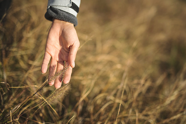 포토 JPG 주간 손 여자 섬 여행 산 한명 사람 성인 야외 아웃포커스 신체부위 30대 트래킹 만지기 한국인 풀 인천 성인여자한명만 옹진군 국내포토 자연요소 식물 1 모션 레저 한국 촬영기법 동양인 장년 여자한명만 성인여자만 파일형식