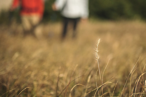 포토 JPG 주간 커플 여자 남자 커플라이프 섬 여행 산 사람 풍경 초원 상반신 성인 야외 두명 뒷모습 아웃포커스 30대 다정 트래킹 한국인 하반신 풀 인천 성인만 옹진군 국내포토 자연요소 식물 라이프스타일 뷰포인트 컨셉 관계 레저 한국 촬영기법 동양인 장년 파일형식
