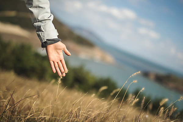 포토 JPG 주간 손 여자 섬 여행 산 한명 사람 성인 야외 아웃포커스 신체부위 30대 트래킹 만지기 한국인 풀 인천 성인여자한명만 옹진군 국내포토 자연요소 식물 1 모션 레저 한국 촬영기법 동양인 장년 여자한명만 성인여자만 파일형식