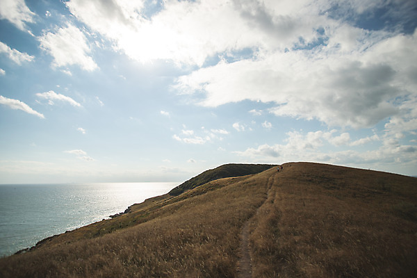 포토 JPG 주간 전신 커플 여자 남자 커플라이프 섬 여행 배낭 산 사람 성인 야외 두명 뒷모습 30대 걷기 다정 등산 트래킹 한국인 오르기 인천 성인만 옹진군 국내포토 자연요소 라이프스타일 뷰포인트 컨셉 가방 관계 모션 레저 한국 동양인 장년 파일형식