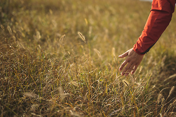 포토 JPG 주간 손 남자 섬 여행 산 한명 서기 사람 성인 야외 뒷모습 신체부위 30대 트래킹 만지기 한국인 풀 인천 성인남자한명만 옹진군 국내포토 자연요소 식물 1 뷰포인트 모션 레저 한국 동양인 장년 남자한명만 성인남자만 파일형식