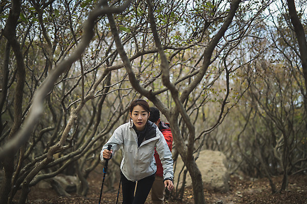포토 JPG 주간 나무 커플 여자 남자 커플라이프 섬 여행 산 사람 상반신 성인 야외 두명 앞모습 30대 걷기 다정 등산 트래킹 한국인 오르기 인천 성인만 옹진군 국내포토 자연요소 식물 라이프스타일 뷰포인트 컨셉 관계 모션 레저 한국 동양인 장년 파일형식