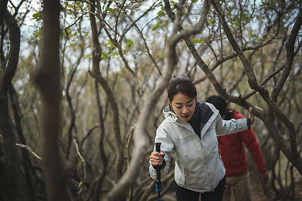 포토 JPG 주간 나무 커플 여자 남자 커플라이프 섬 여행 산 사람 상반신 성인 야외 두명 앞모습 30대 걷기 다정 등산 트래킹 한국인 오르기 인천 성인만 옹진군 국내포토 자연요소 식물 라이프스타일 뷰포인트 컨셉 관계 모션 레저 한국 동양인 장년 파일형식