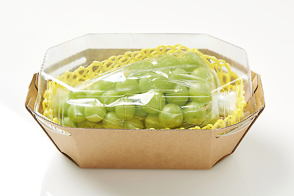 포토 JPG 스튜디오촬영 한송이 과일 포장 실내 누끼 사람없음 신선 달콤 오브젝트 흰배경 유기농 포장용기 망고포도 국내포토 1 웰빙 백그라운드 내부 흰색 맛 청포도 송이 포장재료 파일형식