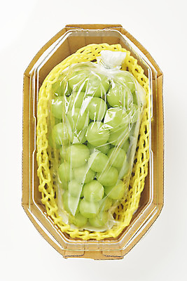 포토 JPG 스튜디오촬영 한송이 과일 포장 실내 누끼 사람없음 하이앵글 신선 달콤 오브젝트 흰배경 유기농 포장용기 플랫레이 망고포도 국내포토 1 웰빙 뷰포인트 백그라운드 내부 흰색 플랫 맛 청포도 송이 포장재료 파일형식