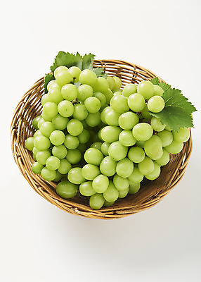 포토 JPG 스튜디오촬영 과일 실내 누끼 사람없음 바구니 신선 달콤 두송이 오브젝트 흰배경 유기농 포도잎 망고포도 국내포토 웰빙 백그라운드 잎 2 포도 내부 흰색 맛 청포도 파일형식