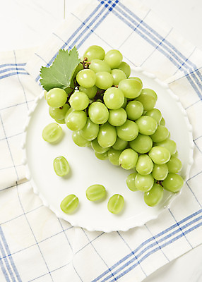 포토 JPG 스튜디오촬영 접시 한송이 과일 실내 누끼 사람없음 하이앵글 신선 달콤 천 오브젝트 흰배경 유기농 포도알 제철 플랫레이 망고포도 제철과일 국내포토 1 식기 웰빙 뷰포인트 백그라운드 포도 내부 흰색 직물 플랫 맛 청포도 송이 파일형식