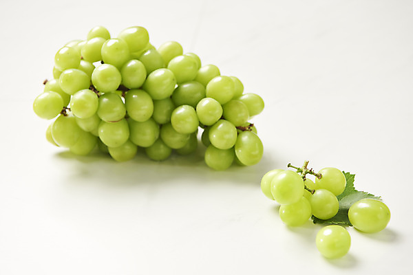 포토 JPG 스튜디오촬영 한송이 과일 실내 누끼 사람없음 신선 달콤 오브젝트 흰배경 유기농 포도알 제철 망고포도 제철과일 국내포토 1 웰빙 백그라운드 포도 내부 흰색 맛 청포도 송이 파일형식