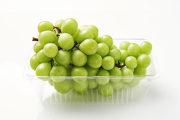 포토 JPG 스튜디오촬영 한송이 과일 실내 누끼 사람없음 신선 달콤 플라스틱 오브젝트 흰배경 유기농 포장용기 망고포도 국내포토 1 웰빙 백그라운드 재질 내부 흰색 맛 청포도 송이 포장재료 파일형식