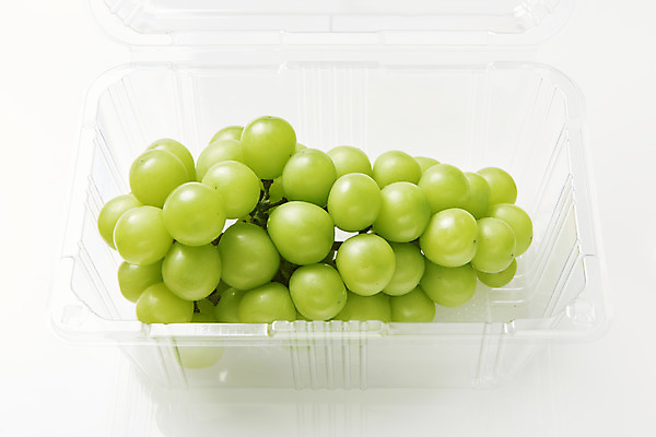 포토 JPG 스튜디오촬영 한송이 과일 실내 누끼 사람없음 신선 달콤 플라스틱 오브젝트 흰배경 유기농 포장용기 망고포도 국내포토 1 웰빙 백그라운드 재질 내부 흰색 맛 청포도 송이 포장재료 파일형식