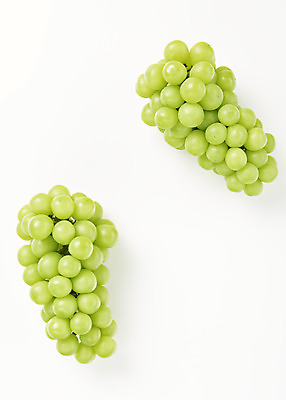 포토 JPG 스튜디오촬영 과일 실내 누끼 사람없음 하이앵글 신선 달콤 두송이 오브젝트 흰배경 유기농 플랫레이 망고포도 국내포토 웰빙 뷰포인트 백그라운드 2 내부 흰색 플랫 맛 청포도 파일형식