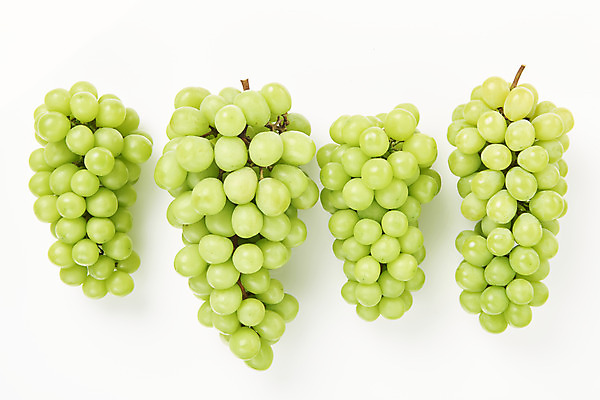 포토 JPG 스튜디오촬영 여러송이 과일 실내 누끼 사람없음 하이앵글 신선 달콤 오브젝트 흰배경 유기농 플랫레이 망고포도 국내포토 웰빙 뷰포인트 다수 백그라운드 내부 흰색 플랫 맛 청포도 파일형식