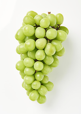 포토 JPG 스튜디오촬영 한송이 과일 실내 누끼 사람없음 하이앵글 신선 달콤 오브젝트 흰배경 유기농 플랫레이 망고포도 국내포토 1 웰빙 뷰포인트 백그라운드 내부 흰색 플랫 맛 청포도 송이 파일형식