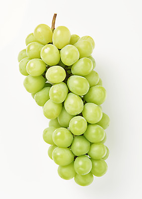 포토 JPG 스튜디오촬영 한송이 과일 실내 누끼 사람없음 하이앵글 신선 달콤 오브젝트 흰배경 유기농 플랫레이 망고포도 국내포토 1 웰빙 뷰포인트 백그라운드 내부 흰색 플랫 맛 청포도 송이 파일형식