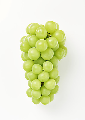 포토 JPG 스튜디오촬영 한송이 과일 실내 누끼 사람없음 하이앵글 신선 달콤 오브젝트 흰배경 유기농 플랫레이 망고포도 국내포토 1 웰빙 뷰포인트 백그라운드 내부 흰색 플랫 맛 청포도 송이 파일형식