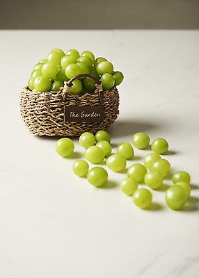 포토 JPG 스튜디오촬영 과일 실내 누끼 사람없음 바구니 신선 달콤 오브젝트 흰배경 유기농 포도알 제철 망고포도 제철과일 국내포토 웰빙 백그라운드 포도 내부 흰색 맛 청포도 파일형식