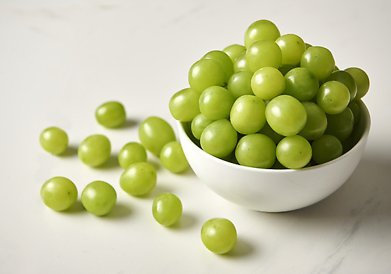 포토 JPG 스튜디오촬영 그릇 과일 실내 누끼 사람없음 신선 달콤 오브젝트 흰배경 유기농 포도알 제철 망고포도 제철과일 국내포토 식기 웰빙 백그라운드 포도 내부 흰색 맛 청포도 파일형식