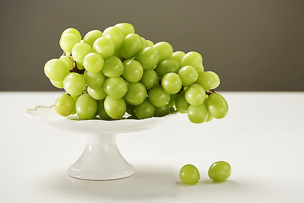 포토 JPG 스튜디오촬영 접시 한송이 과일 실내 누끼 사람없음 신선 달콤 오브젝트 흰배경 유기농 포도알 제철 망고포도 제철과일 국내포토 1 식기 웰빙 백그라운드 포도 내부 흰색 맛 청포도 송이 파일형식