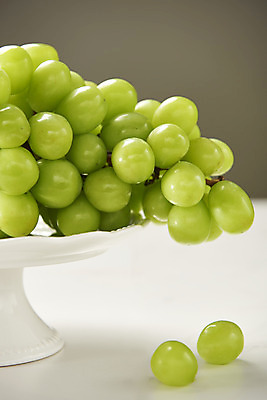 포토 JPG 스튜디오촬영 접시 한송이 과일 실내 누끼 근접촬영 사람없음 신선 달콤 오브젝트 흰배경 유기농 포도알 제철 망고포도 제철과일 국내포토 1 식기 웰빙 뷰포인트 백그라운드 포도 내부 흰색 맛 청포도 송이 파일형식