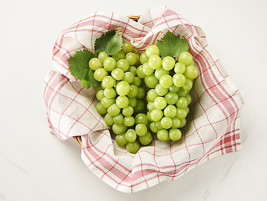 포토 JPG 스튜디오촬영 과일 실내 누끼 사람없음 하이앵글 바구니 신선 달콤 천 두송이 오브젝트 흰배경 유기농 포도잎 플랫레이 망고포도 국내포토 웰빙 뷰포인트 백그라운드 잎 2 포도 내부 흰색 직물 플랫 맛 청포도 파일형식
