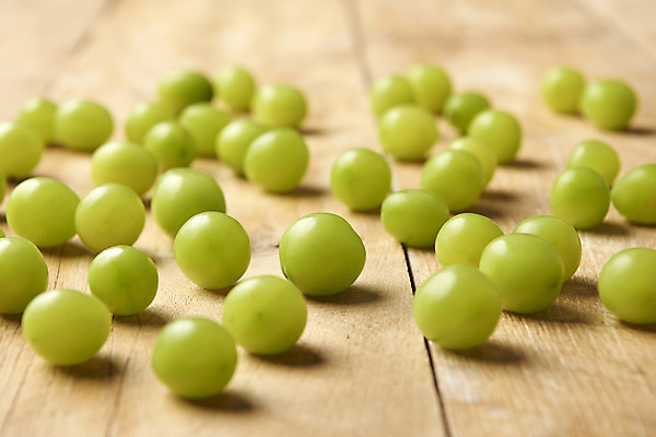 포토 JPG 스튜디오촬영 과일 실내 누끼 사람없음 아웃포커스 신선 달콤 오브젝트 유기농 포도알 제철 망고포도 나무배경 제철과일 국내포토 웰빙 백그라운드 포도 촬영기법 내부 맛 청포도 파일형식