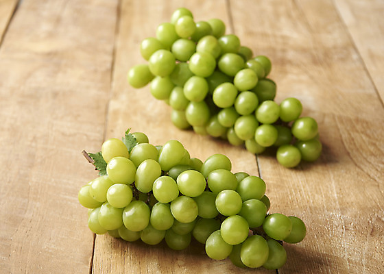 포토 JPG 스튜디오촬영 과일 실내 누끼 사람없음 아웃포커스 신선 달콤 두송이 오브젝트 유기농 망고포도 나무배경 국내포토 웰빙 백그라운드 2 촬영기법 내부 맛 청포도 파일형식