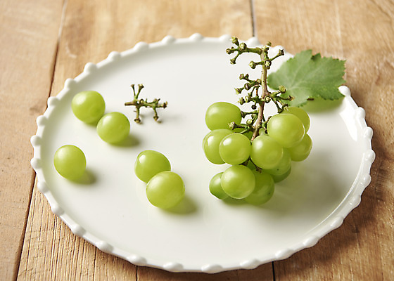 포토 JPG 스튜디오촬영 접시 과일 실내 누끼 사람없음 신선 달콤 오브젝트 유기농 포도알 제철 망고포도 나무배경 제철과일 국내포토 식기 웰빙 백그라운드 포도 내부 맛 청포도 파일형식