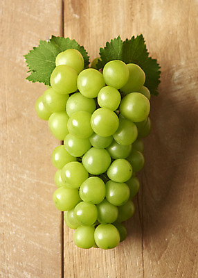 포토 JPG 스튜디오촬영 한송이 과일 실내 누끼 사람없음 하이앵글 신선 달콤 오브젝트 유기농 포도잎 플랫레이 망고포도 나무배경 국내포토 1 웰빙 뷰포인트 백그라운드 잎 포도 내부 플랫 맛 청포도 송이 파일형식