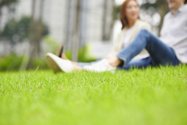 포토 JPG 주간 전신 서양인 외국인 커플 공원 여자 남자 커플라이프 데이트 휴식 사랑 앉기 잔디 20대 성인 야외 두명 아웃포커스 30대 다정 한국인 다문화 국제결혼 성인만 국제커플 국내포토 자연요소 식물 라이프스타일 공공시설 감정 결혼 컨셉 관계 모션 촬영기법 사람 동양인 인종 청년 장년 사회이슈 파일형식