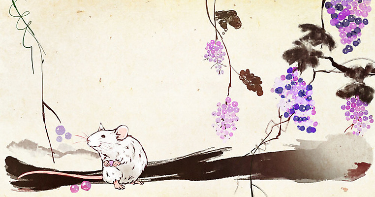 PSD 한마리 명절 일러스트 캘리그라피 포도 붓터치 수채화 근하신년 새해 수묵화 사람없음 여름 컬러풀 붓 쥐띠 쥐 동양화 번짐 8월 포도넝쿨 흰쥐 2020년 경자년 국내일러스트 1 전통 계절 기념일 컬러 과일 미술 십이지신 날짜 덩굴 설치류 연도 파일형식 효과