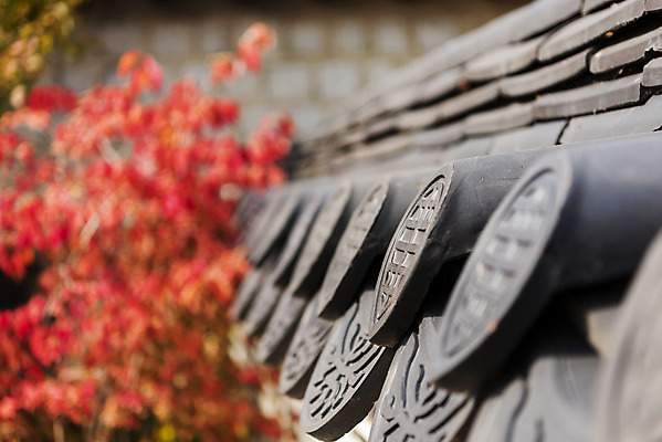 포토 JPG 주간 여행 단풍 낙엽 서울 기와 풍경 근접촬영 사람없음 야외 아웃포커스 가을풍경 가을 경복궁 국내여행 국내포토 자연요소 계절 뷰포인트 잎 한국 촬영기법 궁전 파일형식 가을_계절