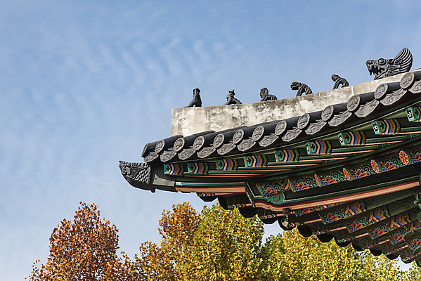 포토 JPG 주간 구름 여행 단풍 낙엽 하늘 지붕 서울 단청문양 풍경 사람없음 야외 가을풍경 궁전 가을 경복궁 국내여행 잡상 국내포토 자연요소 문양 계절 고건축 잎 한국 기와 단청 파일형식 가을_계절